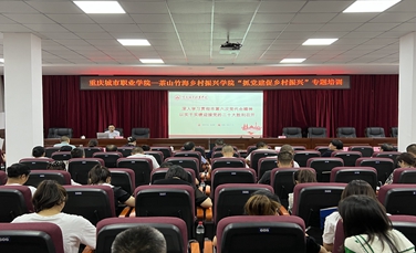 抓党建促乡村振兴专题培训1_副本.jpg 抓党建促乡村振兴专题培训1_副本.jpg